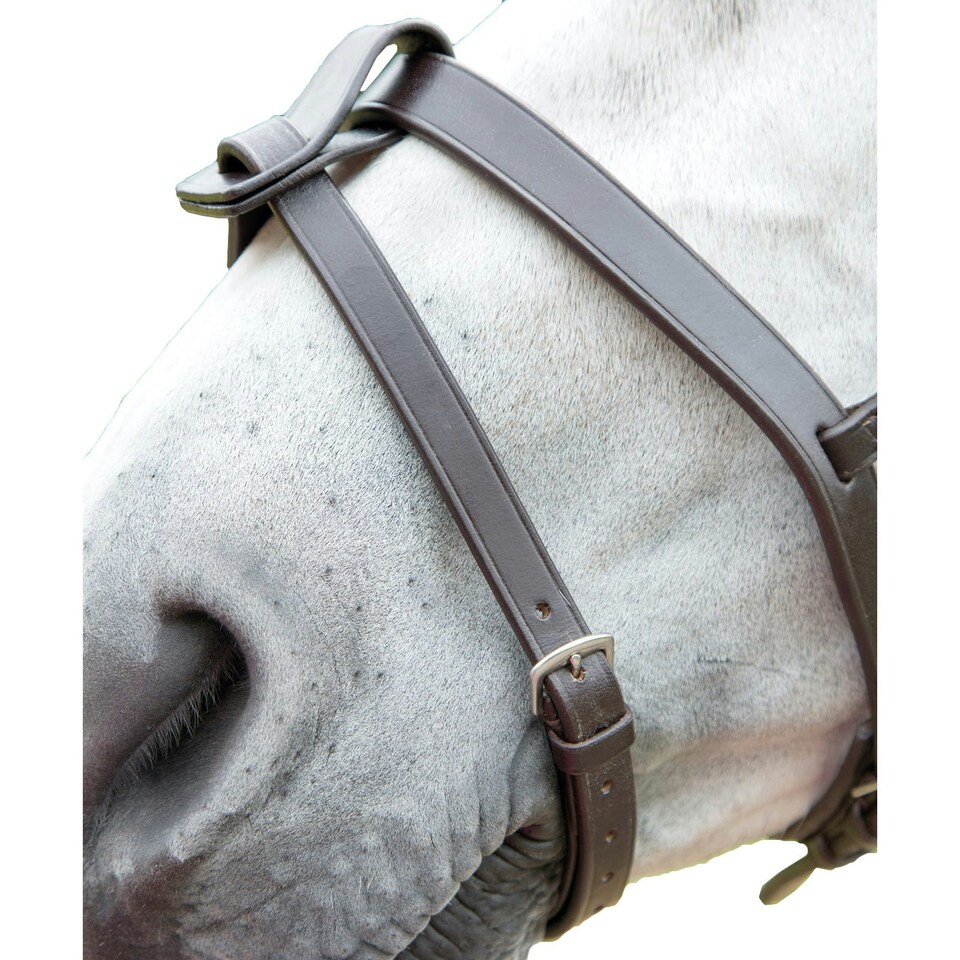 Blenheim Leather Horse Flash Strap - Havana - Pony