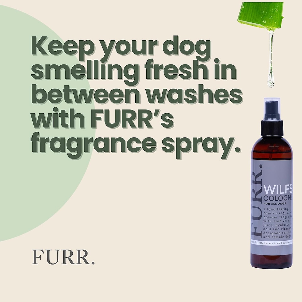 image 1 of FURR Wilfs Baby Powder Dog Cologne Spray (pack of 2) 250ml