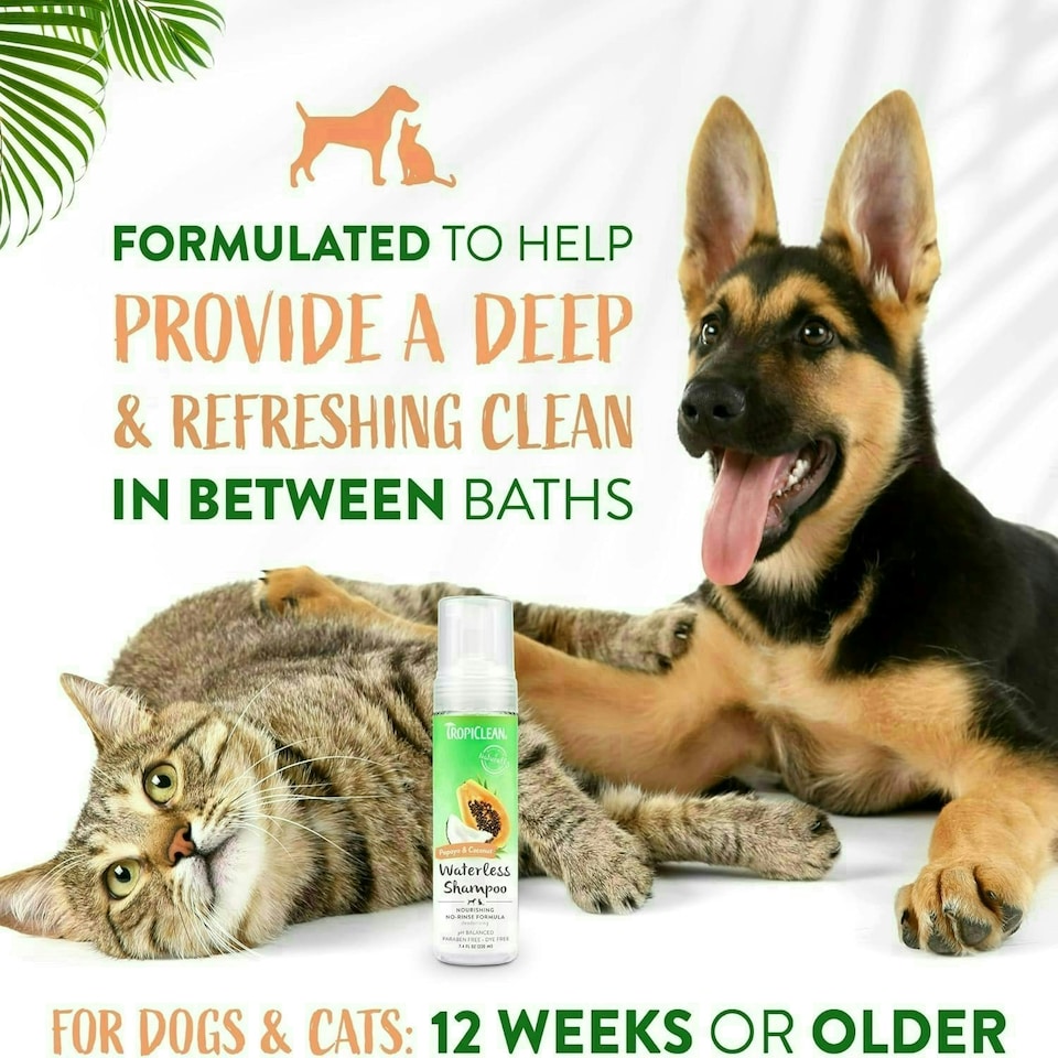 image 1 of TropiClean Moisturising Waterless Dog and Cat Shampoo Papaya & Coconut, 220ml