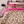 Leopard/Hot Pink