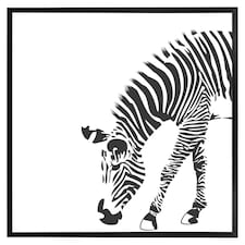 Zebra (Picture Frame) Black | S