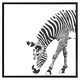 image 1 of Zebra (Picture Frame) Black | S