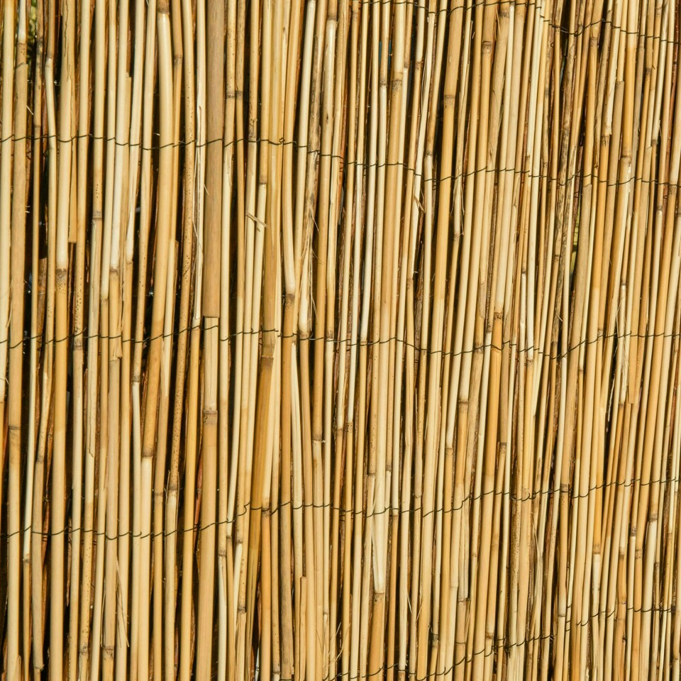 image 1 of Natural Screening Roll Privacy Peeled Reed Wind Sun Protection 3m x 2m Primrose