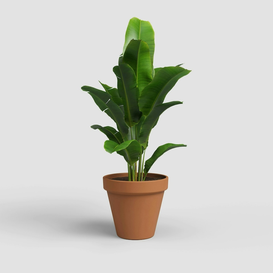 image 1 of APTA Verona 13cm Terracotta Pots (Set of 4) - Classic Indoor & Outdoor Decor