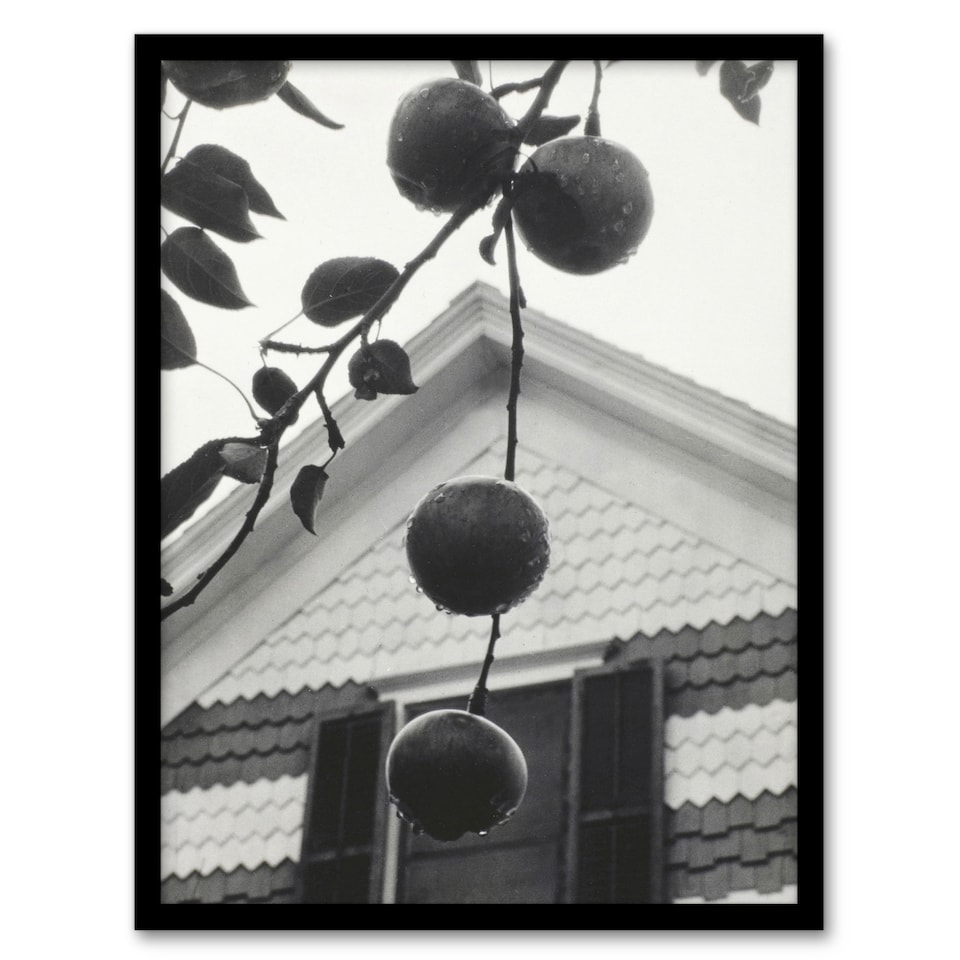 image 1 of Alfred Stieglitz Gable and Apples Vintage Photograph Framed Wall Art Print A4