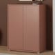 image 1 of Alice Springs Tall 2 Door Cupboard with Push-to-Open Doors in Terracotta