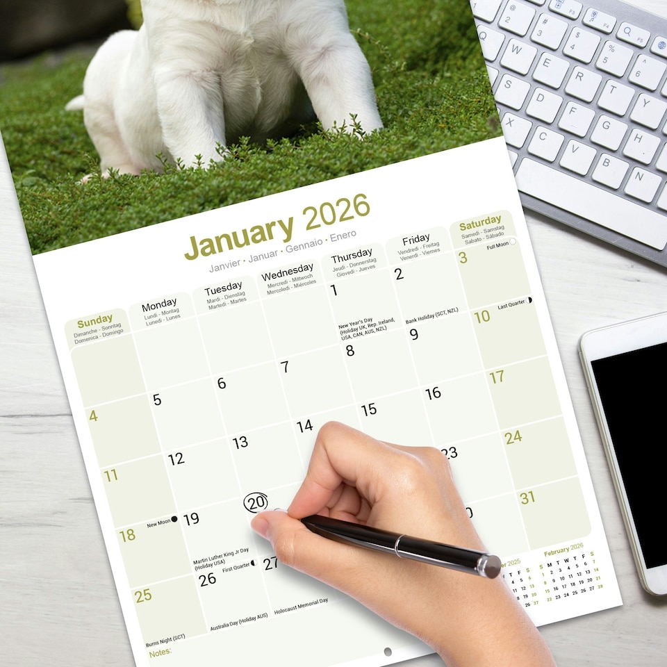 image 1 of Bull Terrier 2026 Calendar | Square Wall Calendar | Dog Breed Gift | Plastic Free Packaging | by Avonside Publishing