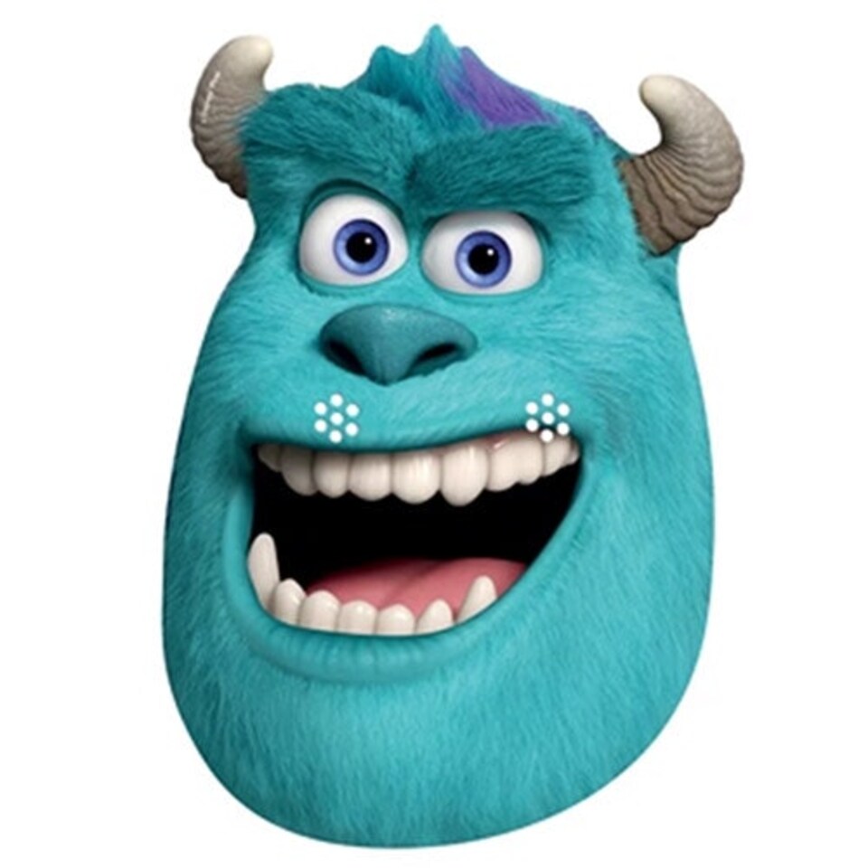 Sulley Monsters University Disney Cardboard Face Mask