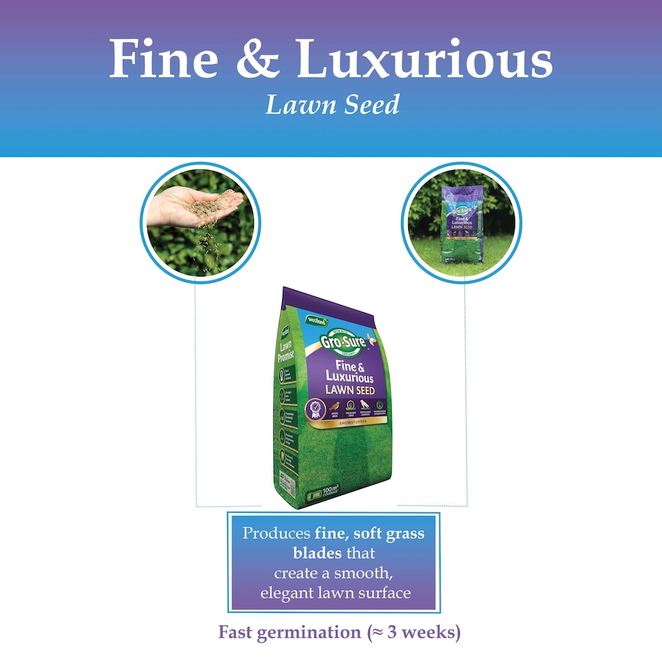 image 1 of Westland Gro-Sure Fine & Luxurious Lawn Seed 100 square Metre Bag Fine Bladed Grass Seed for Thick Soft Green Lawn New or Patch Repair