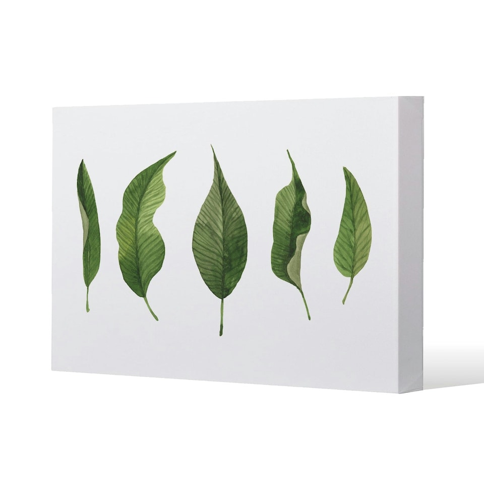image 1 of Selection Of Leaves (Canvas Print)