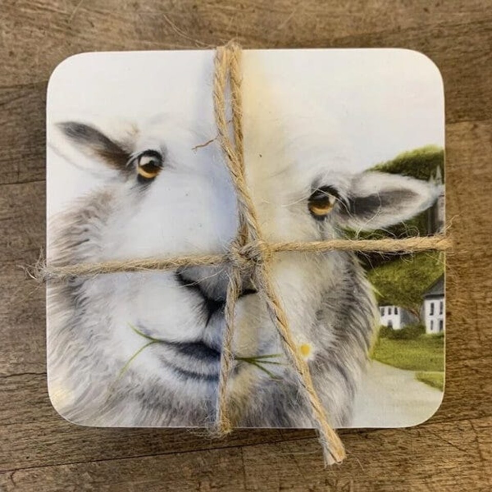 image 1 of Lucy's Farm Sheep at Milton Abbas Melamine Coaster