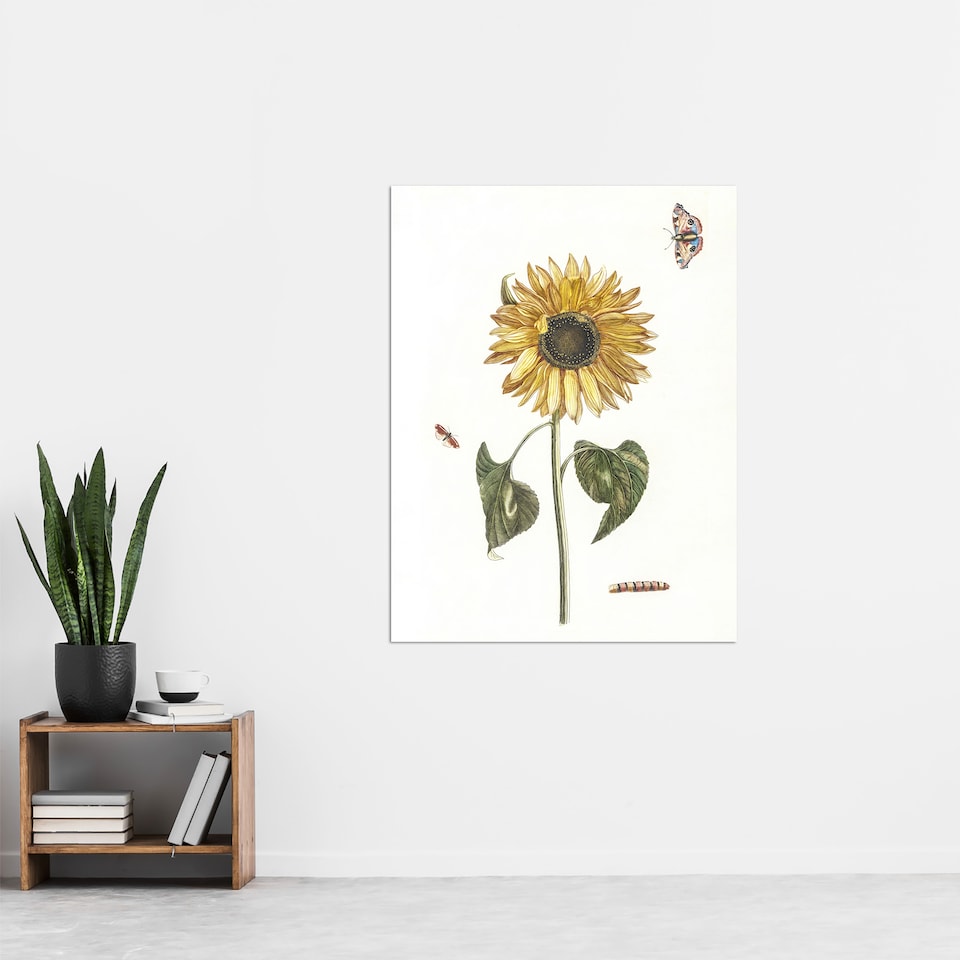 image 1 of Sunflower Caterpillar And Two Butterflies Teyler Huge Wall Art Poster Print