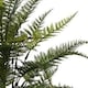 image 3 of Pack of 6 x 78cm Fire Retardant Artificial Fern Foliage Branch