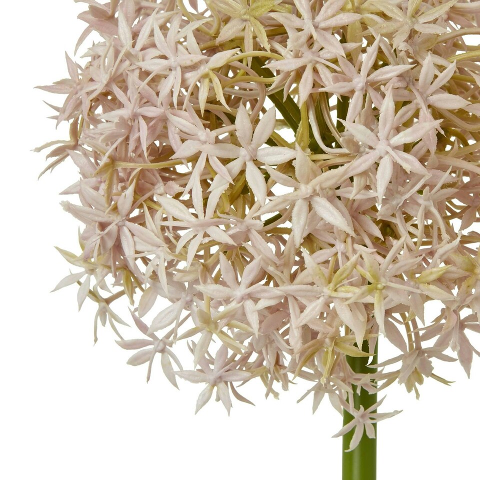 image 1 of Hill Interiors Allium Stem Artificial Plant - Lilac - 80cm