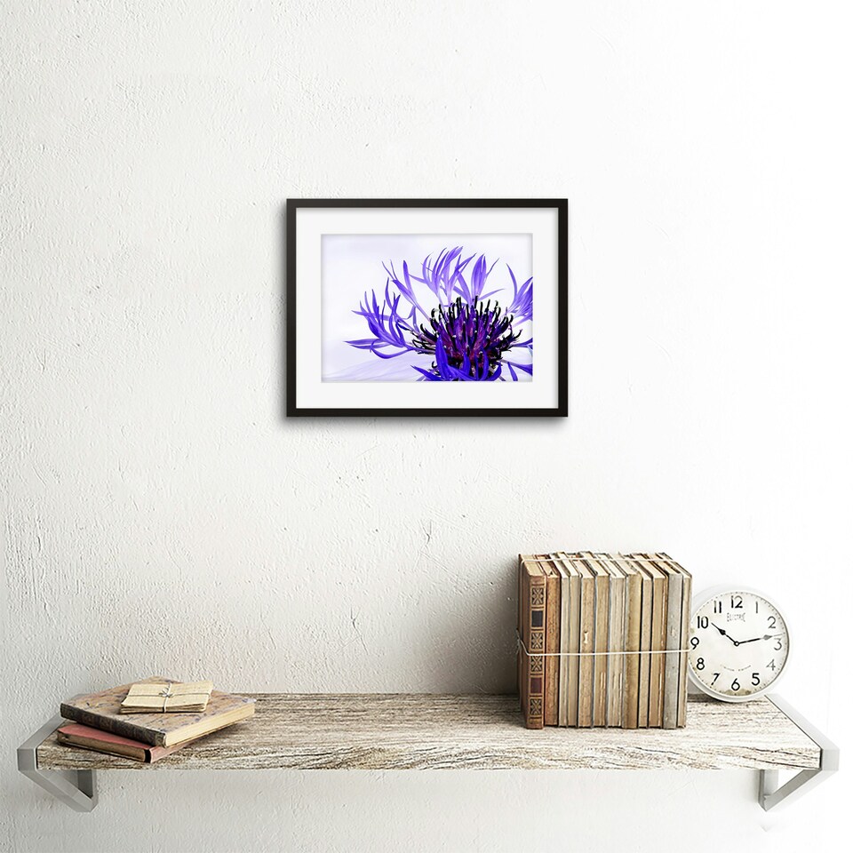 image 1 of Purple Flower Vibrant 9x7" Black Framed Wall Art Print