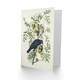 image 2 of John James Audubon Art Card American Crow on Walnut Tree