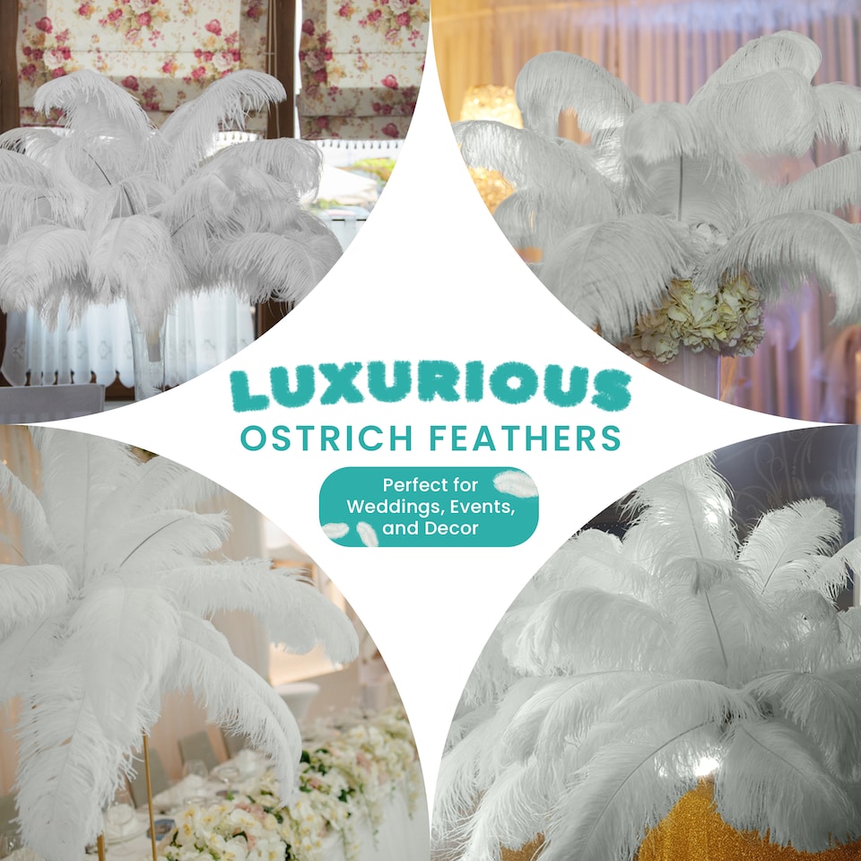 image 1 of 50cm - 60cm Large Ostrich Feathers, Showgirl Spadones - 5pcs