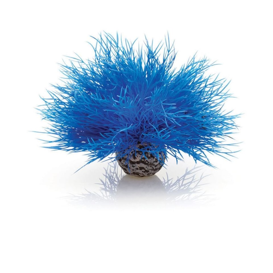 biOrb Sea Lily, Blue - Aquarium Fish Tank Ornament
