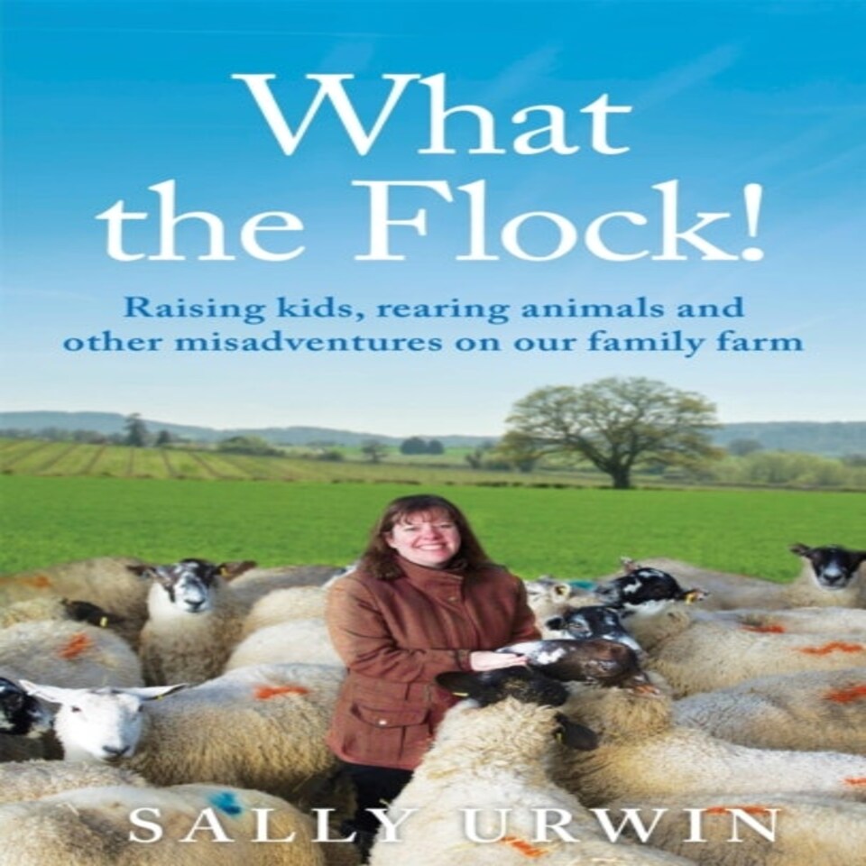What The Flock!