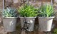 image 2 of Chimpanzee Plant Pot Hanger - L11.5 x W7 x H4.5 cm