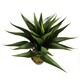 image 4 of 55cm Artificial Tropical Yucca Plant | Green | One Size