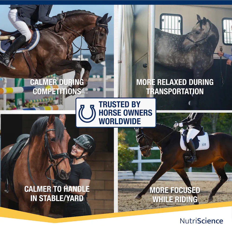 image 1 of NutriScience AnxiKalm Horse Calming Gel L Tryptophan Stress Relief Competition Supplement