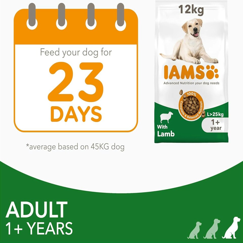 image 1 of IAMS Complete Dry Dog Food for Adult 1+ Large Breeds with Lamb 12 kg