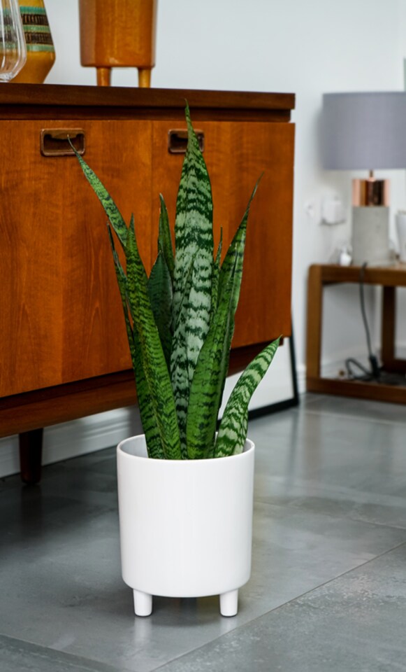 image 1 of Pisa Planter - Ceramic - L20 x W20 x H24 cm - White | White