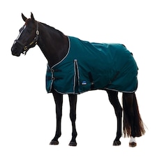 Weatherbeeta Comfitec Classic Standard-Neck 50g Horse Turnout Rug | Green | Forest Green/Black | 5Ft | 1