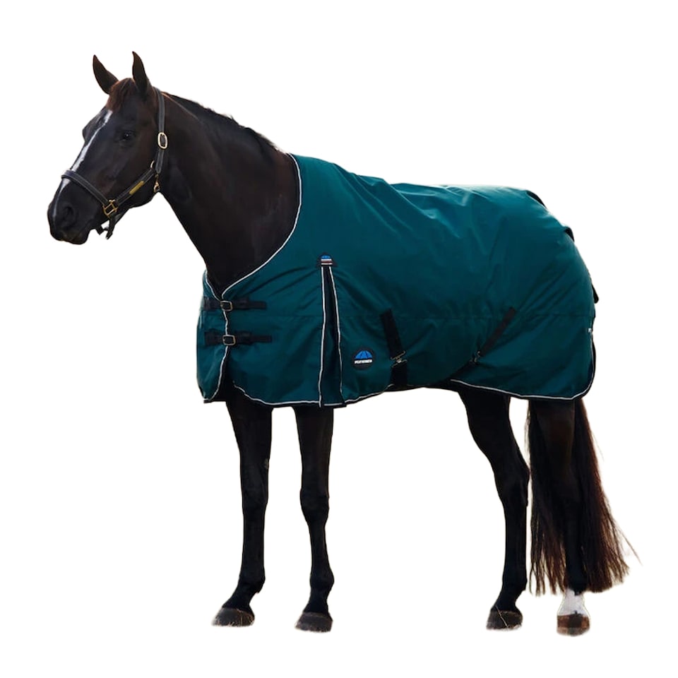 image 1 of Weatherbeeta Comfitec Classic Standard-Neck 50g Horse Turnout Rug | Green | Forest Green/Black | 5Ft | 1