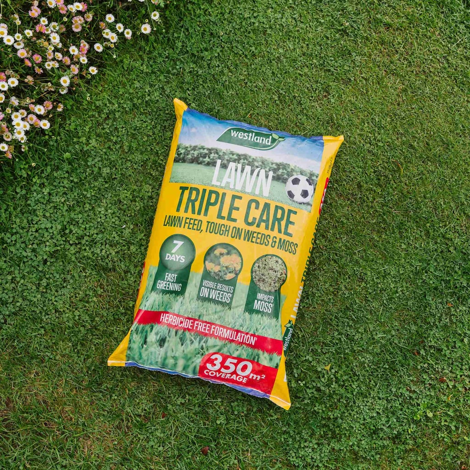 image 1 of Aftercut Westland Triple Care Lawn Feed  Rapid Greening, Moss & Weed Control, Small Granules | Brown | 1 x 350sqm Bag