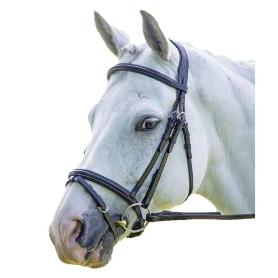 image 1 of Velociti Raised Flash Leather Horse Bridle - Havana - X Full