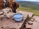 image 6 of Henry Wag Easy-Roll Travel Pet Bed & Large Travel Bowl 750ml Combo