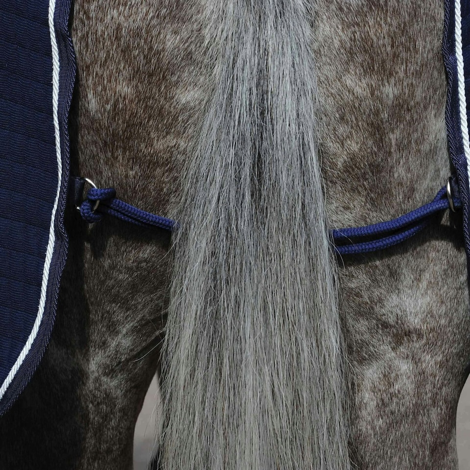 image 1 of Weatherbeeta Thermocell Standard-Neck Horse Cooler Rug - Navy/White - 6´ 3"