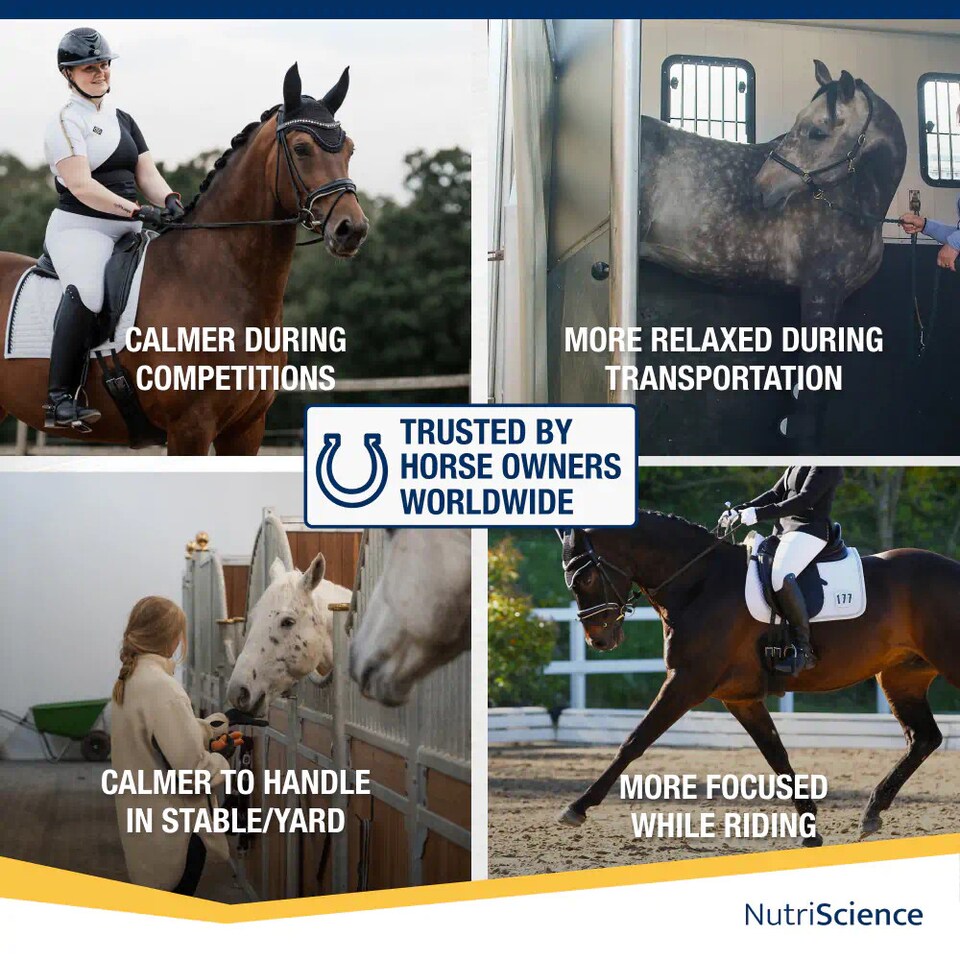 image 1 of NutriScience Horse Calming Supplement Powder Competition Safe Anxiety Stress Relief Equine 3kg