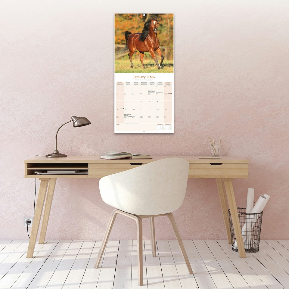 image 1 of Arabian Horses 2026 Calendar | Square Wall Calendar | Animal Gift | Plastic Free Packaging | by Avonside Publishing
