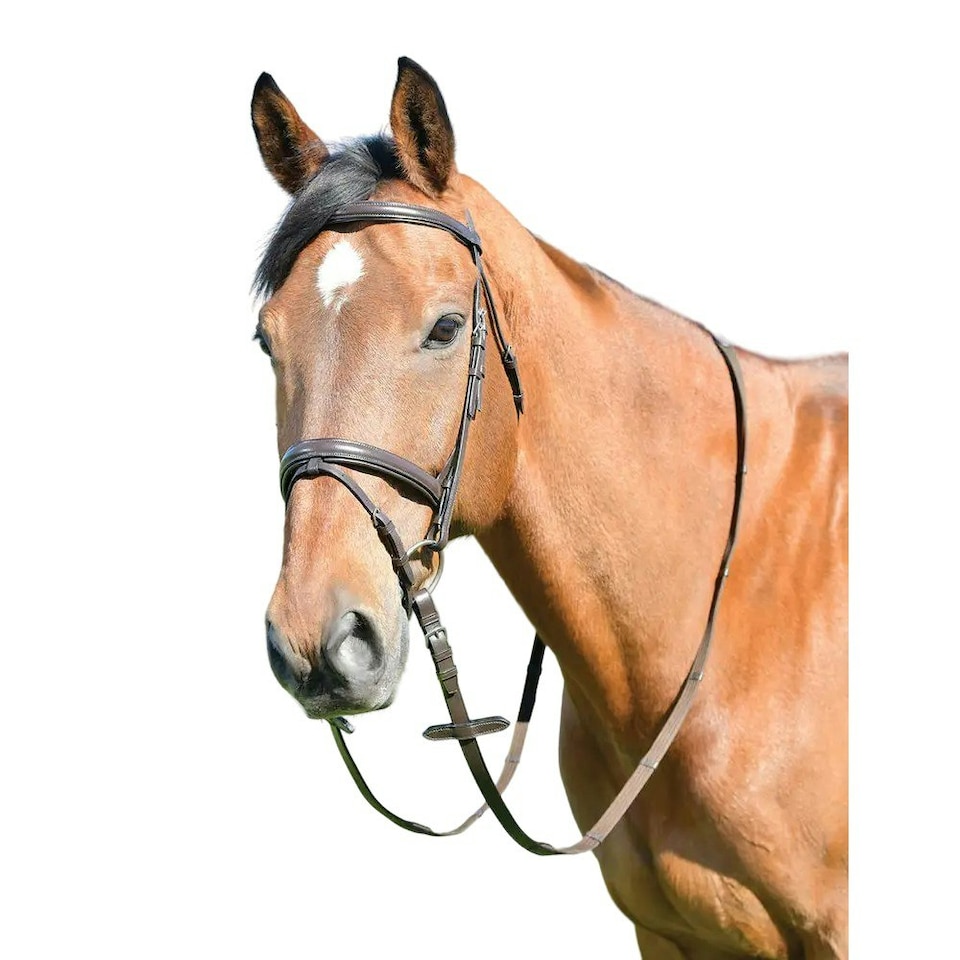 Kincade Classic Raised Flash Leather Plain Horse Bridle With Reins - Brown - Pony