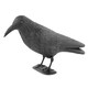 image 3 of KCT Crow Decoy Full Bodied Realistic Hunting Prop and Bird Scarer