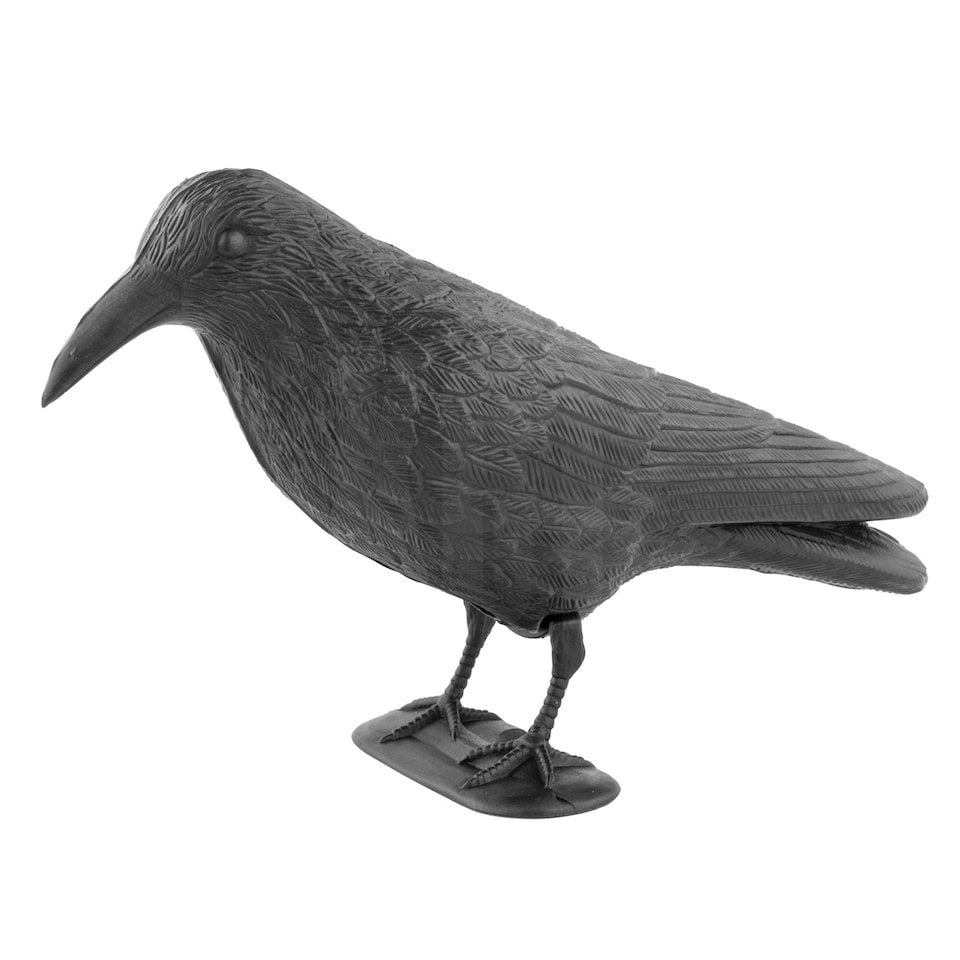 image 1 of KCT Crow Decoy Full Bodied Realistic Hunting Prop and Bird Scarer