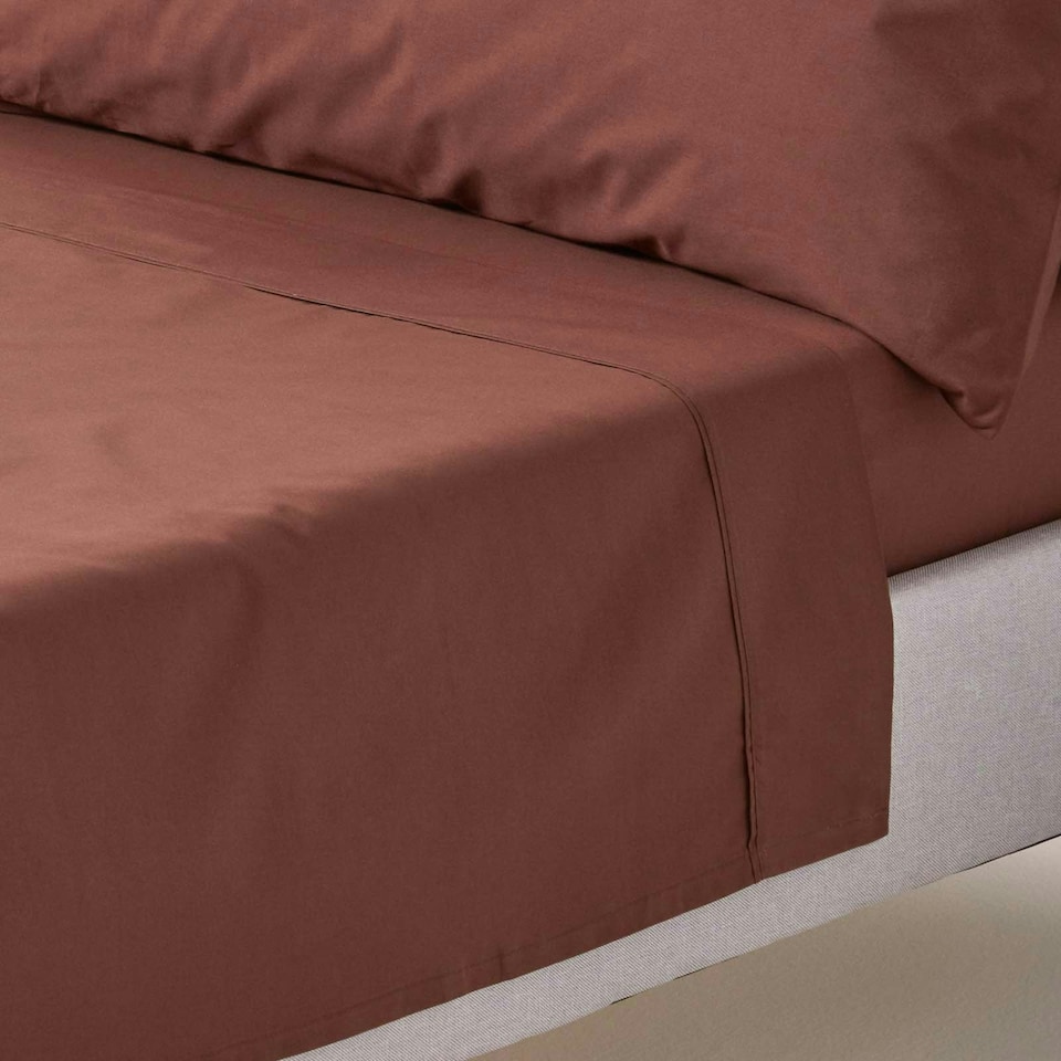 image 1 of Homescapes Chocolate Egyptian Cotton Flat Sheet 200 TC, King Brown | King