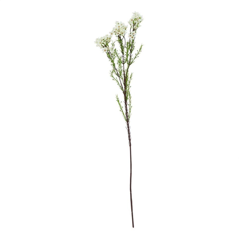 image 1 of Hill Interiors The Natural Garden Collection Waxflower Artificial Flower - White/Green - One Size