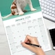 image 5 of Cavalier King Charles Spaniel 2026 Calendar | Square Wall Calendar | Dog Breed Gift | Plastic Free Packaging | by Avonside Publishing