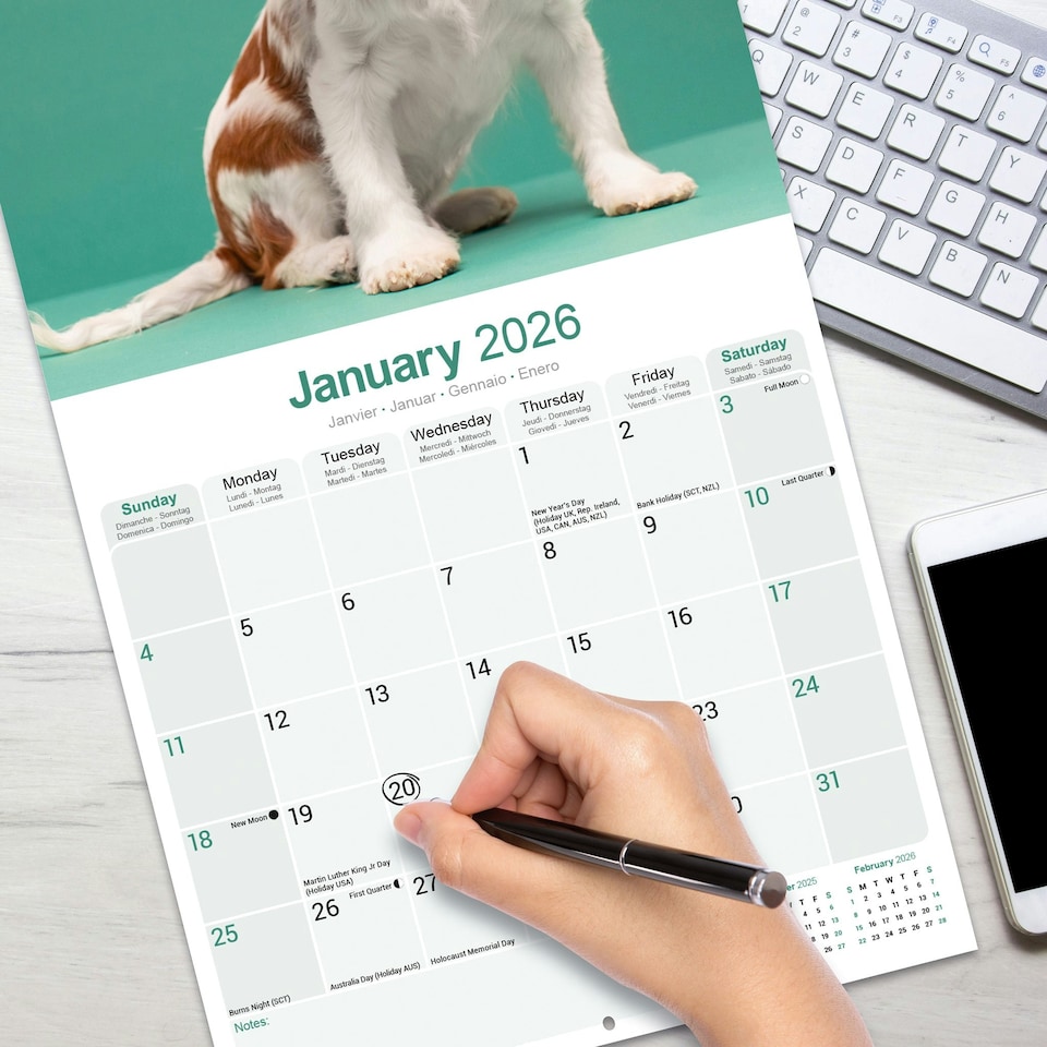 image 1 of Cavalier King Charles Spaniel 2026 Calendar | Square Wall Calendar | Dog Breed Gift | Plastic Free Packaging | by Avonside Publishing