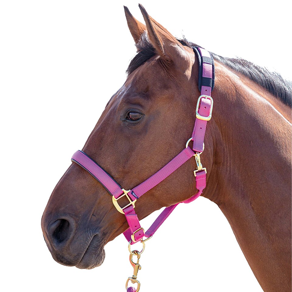 Shires Topaz Nylon Horse Headcollar - Raspberry - Cob