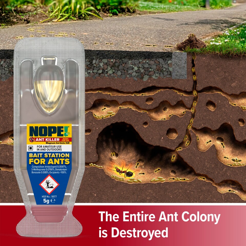 image 1 of NOPE Ant Killer Bait Station (6 x 5g) Traps for Indoor & Outdoor. Eradicates Ants and their Colony & Nest