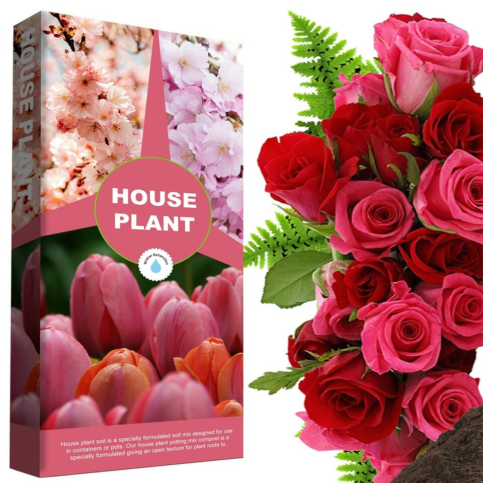image 1 of House Plant Compost 10 Litres Ideal For House Plants With Added Nutrients For Healthy Leaves & Plants