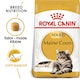 image 1 of Royal Canin Cat Maine Coon Adult - 10KG