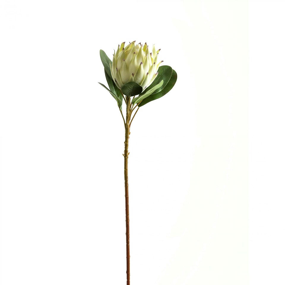 Hill Interiors Protea Protea Artificial Flower - White - One Size