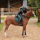 image 1 of Shires Aubrion Team Hat Silk Red | Colour: Red
Size: One Size