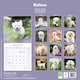 image 3 of Maltese 2026 Calendar | Square Wall Calendar | Dog Breed Gift | Plastic Free Packaging | by Avonside Publishing